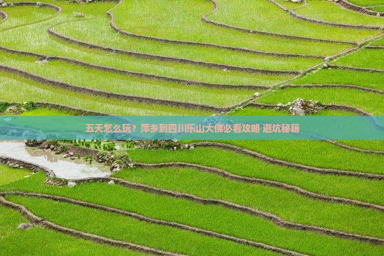 萍乡到四川乐山大佛五日游