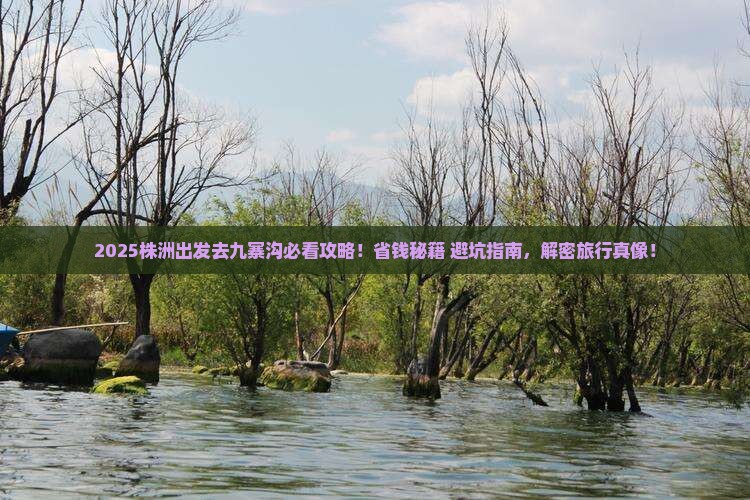 株洲去四川九寨沟旅行社
