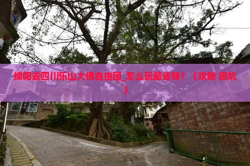 绵阳去四川乐山大佛自由团