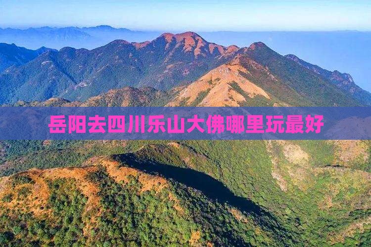 岳阳去四川乐山大佛哪里玩