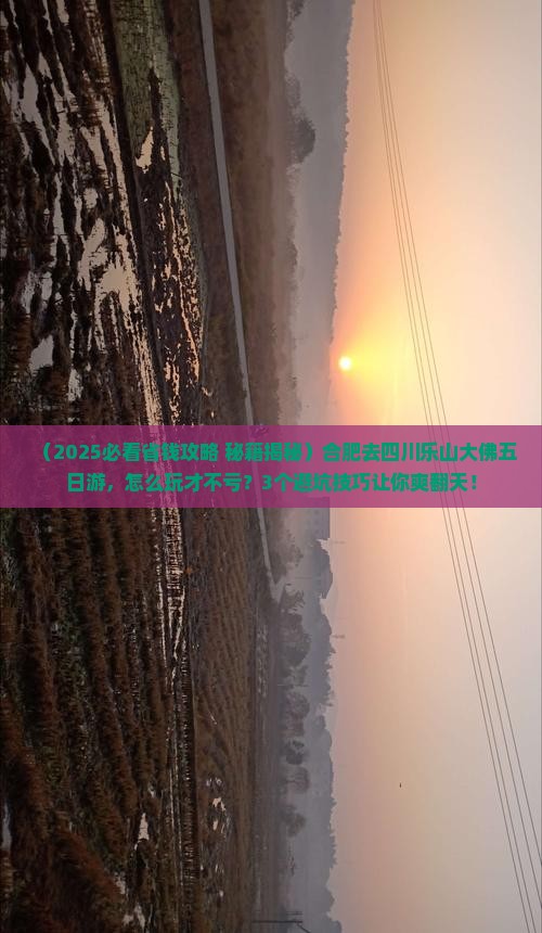 合肥去四川乐山大佛五日游