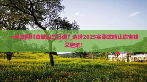 一月去四川青城山三日游