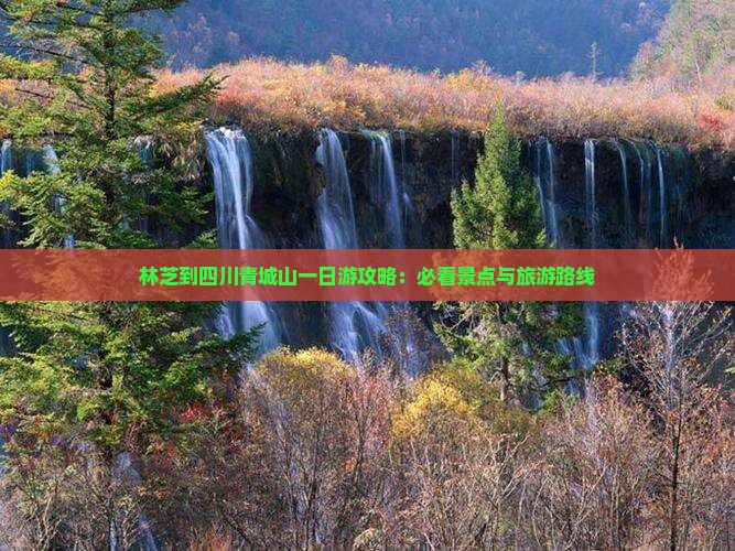 林芝到四川青城山一日