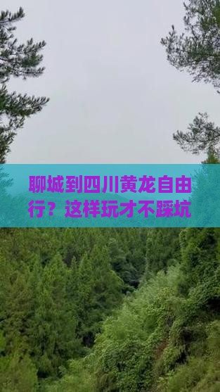 聊城到四川黄龙自由行
