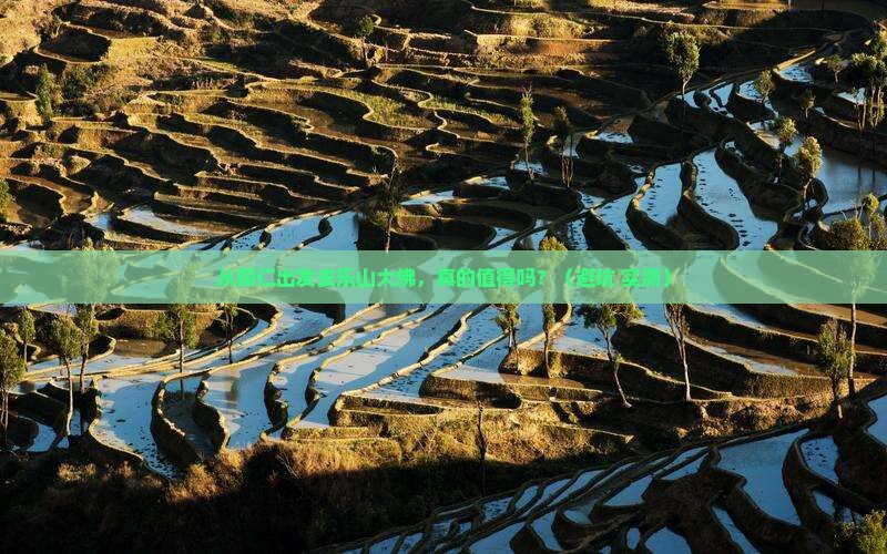 铜仁到四川乐山大佛旅游