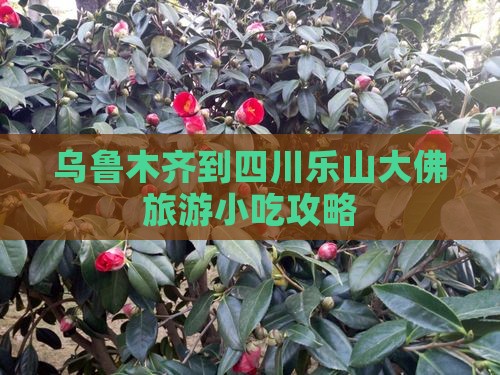 乌鲁木齐到四川乐山大佛旅游小吃