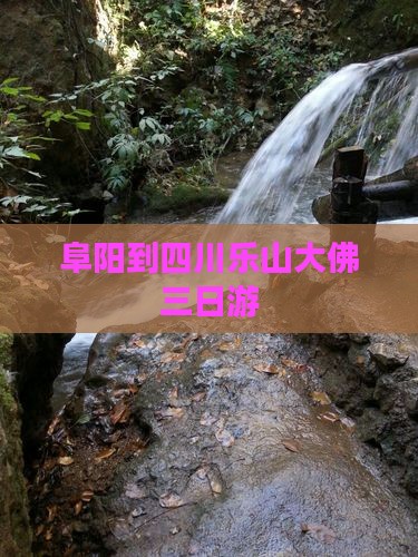 阜阳到四川乐山大佛三日游