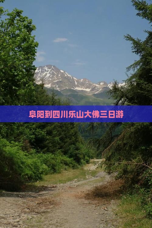 阜阳到四川乐山大佛三日游