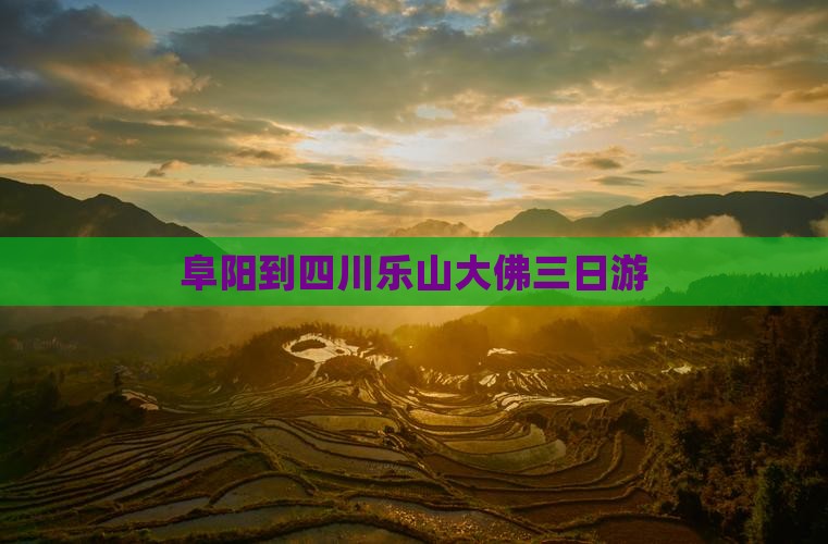 阜阳到四川乐山大佛三日游