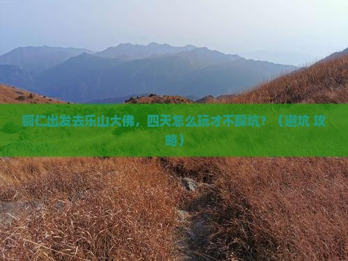 铜仁到四川乐山大佛四日游