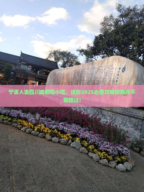 宁波去四川成都旅游小吃