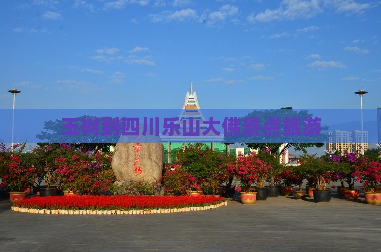 玉树到四川乐山大佛景点旅游