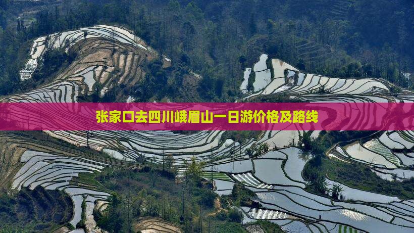 张家口去四川峨眉山一日游价格及路线