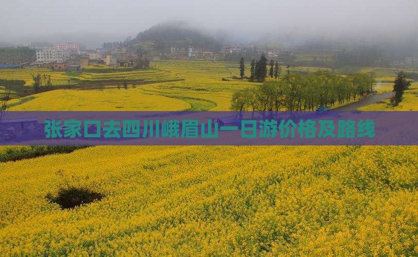 张家口去四川峨眉山一日游价格及路线