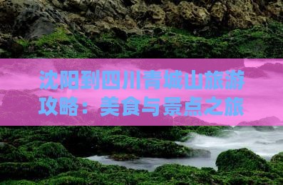 沈阳到四川青城山旅游攻略：美食与景点之旅