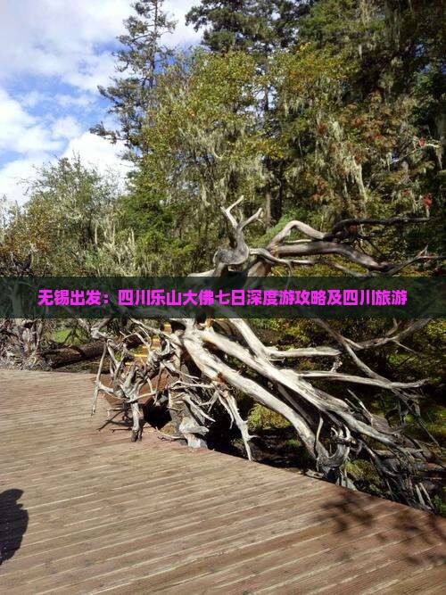 无锡出发：四川乐山大佛七日深度游攻略及四川旅游