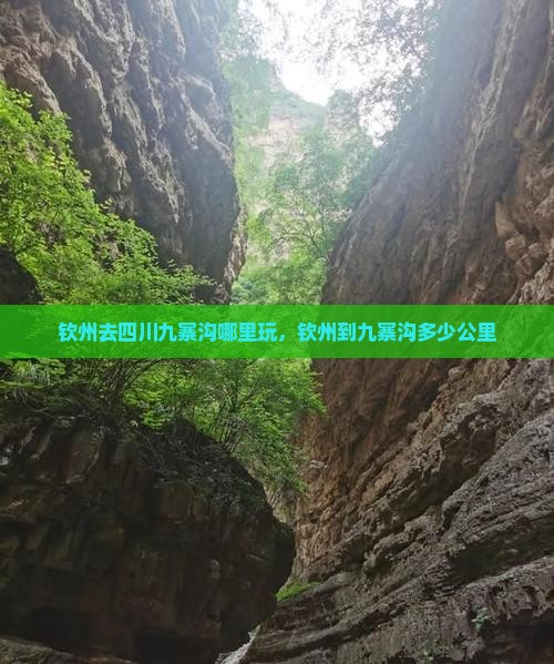钦州去四川九寨沟哪里玩，钦州到九寨沟多少公里