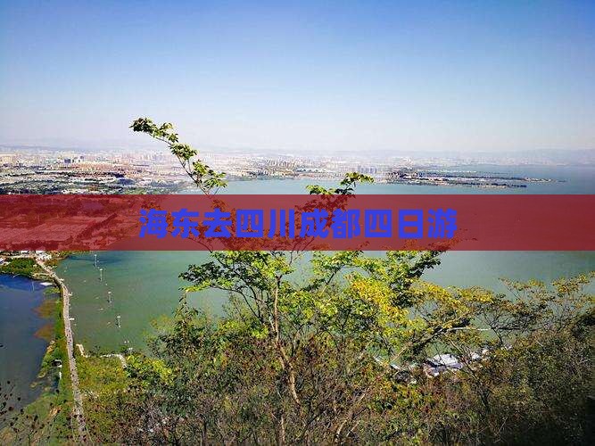 海东去四川成都四日游