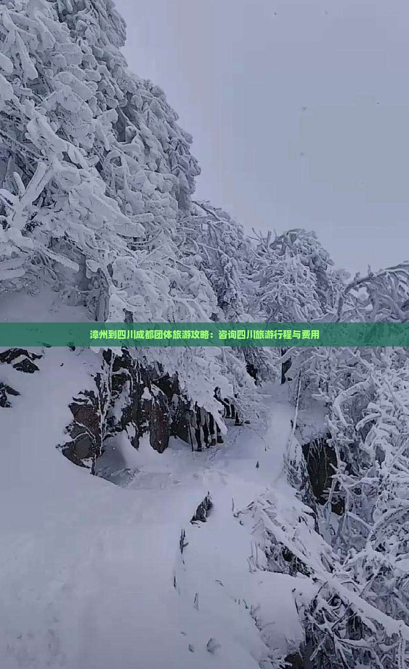 漳州到四川成都团体旅游攻略：咨询四川旅游行程与费用