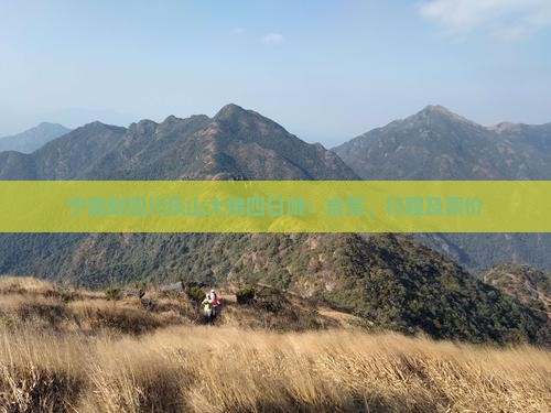 宁德到四川乐山大佛四日游：自驾、行程及票价