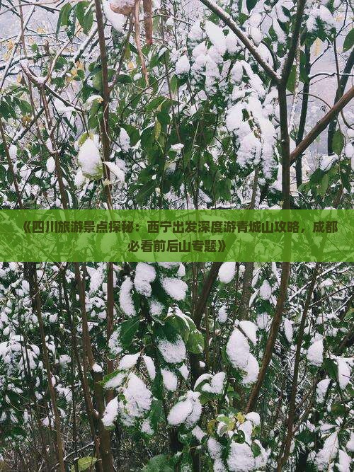 《四川旅游景点探秘：西宁出发深度游青城山攻略，成都必看前后山专题》