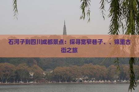 石河子到四川成都景点：探寻宽窄巷子、、锦里古街之旅