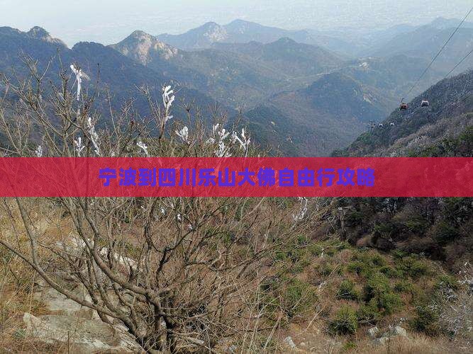 宁波到四川乐山大佛自由行攻略