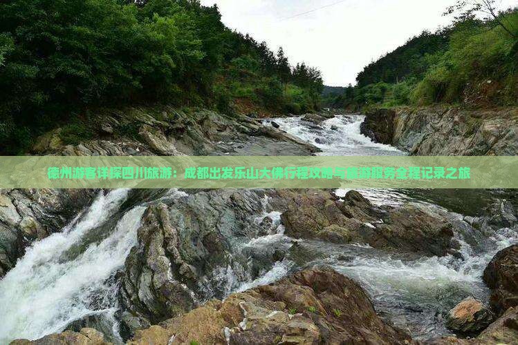 德州游客详探四川旅游：成都出发乐山大佛行程攻略与旅游服务全程记录之旅