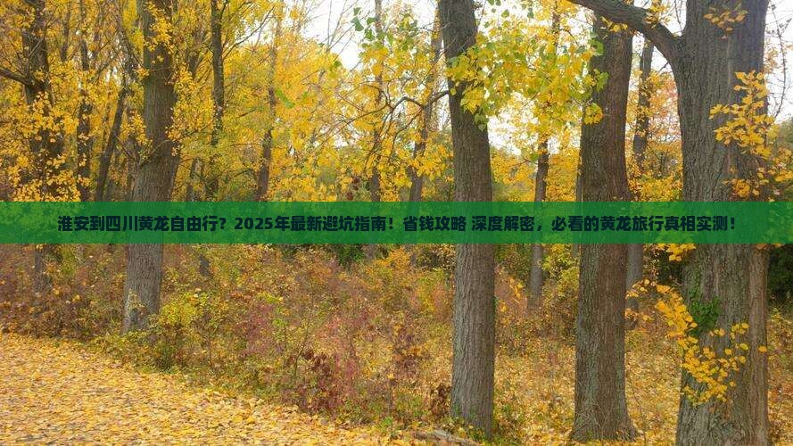 淮安到四川黄龙自由行