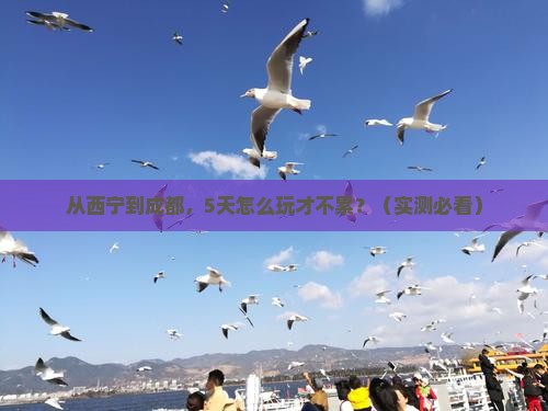 西宁去四川成都攻略