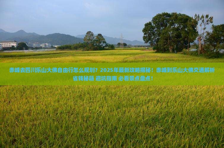 赤峰去四川乐山大佛自由行