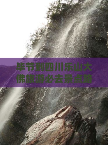 毕节去四川乐山大佛必去地