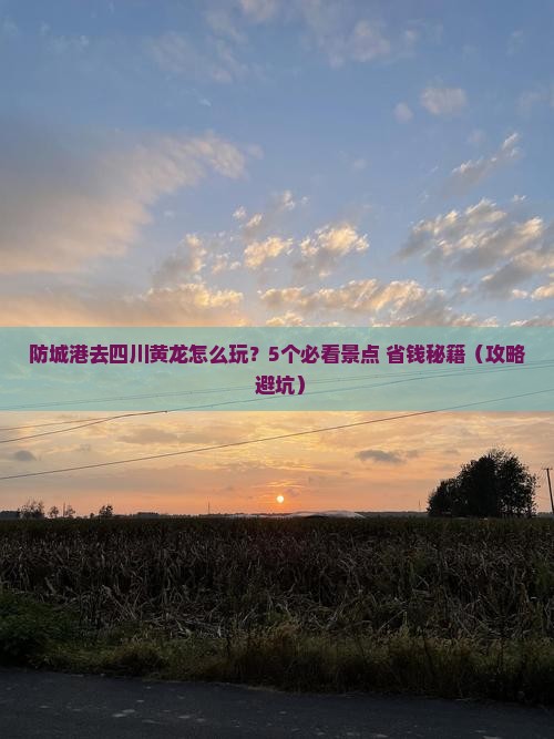 防城港去四川黄龙旅行社