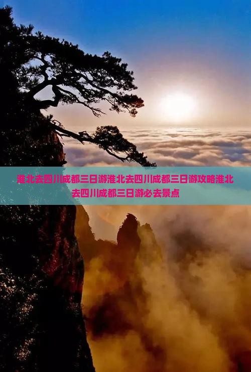 淮北去四川成都三日游