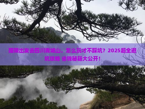 醴陵去四川青城山攻略