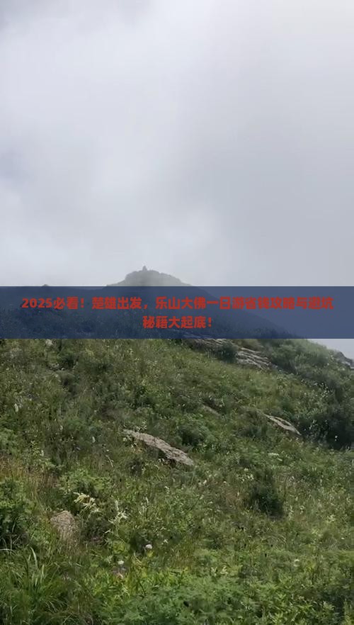 楚雄去四川乐山大佛一日