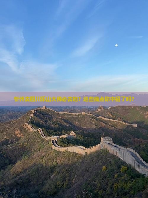 忻州去四川乐山大佛必去地