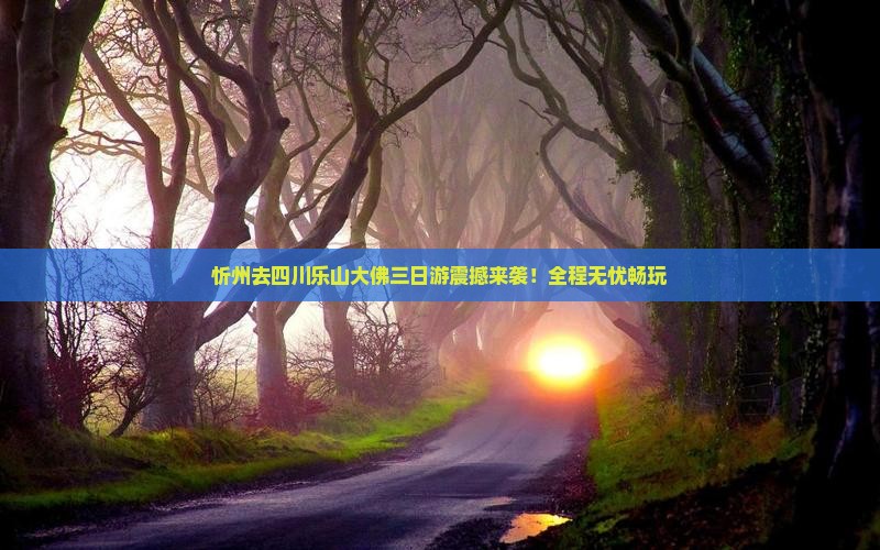 忻州去四川乐山大佛三日游