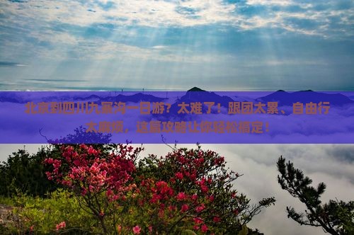 北京到四川九寨沟一日