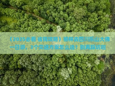 榆林去四川乐山大佛一日