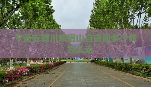 宁德去四川峨眉山自由团