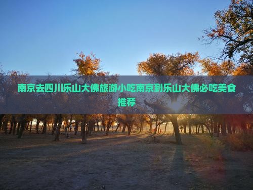 南京去四川乐山大佛旅游小吃