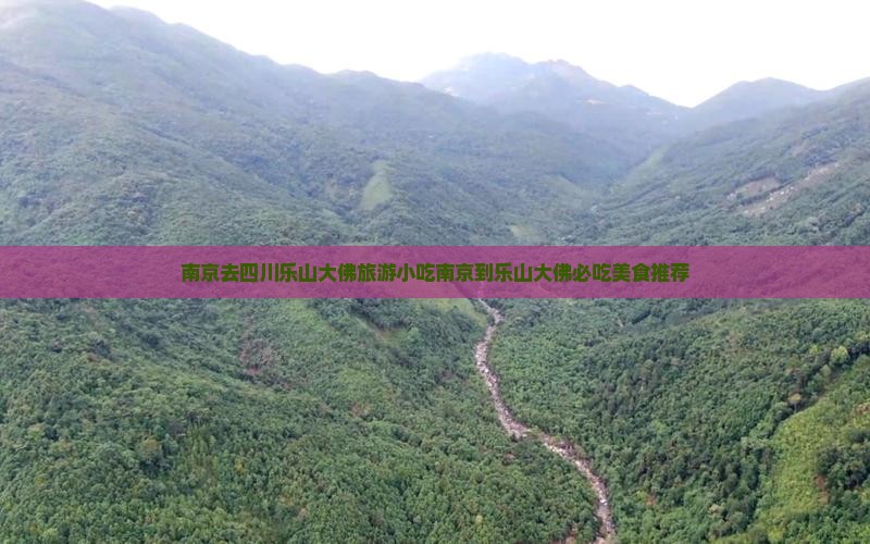 南京去四川乐山大佛旅游小吃