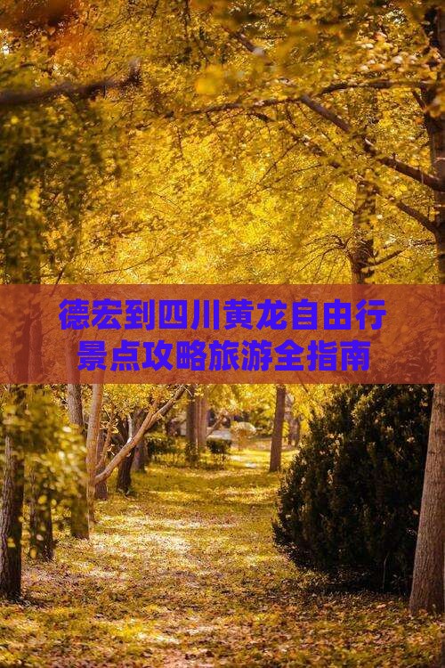 德宏到四川黄龙自由行