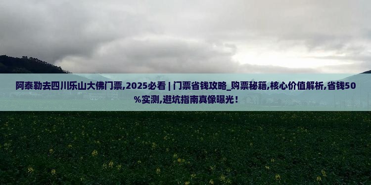 阿泰勒去四川乐山大佛门票