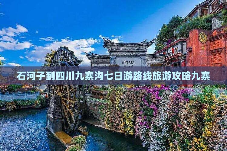 石河子到四川九寨沟七日游
