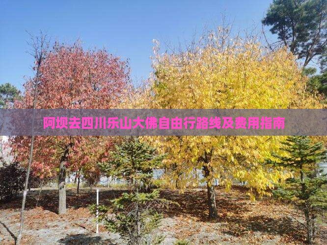 阿坝去四川乐山大佛自由行