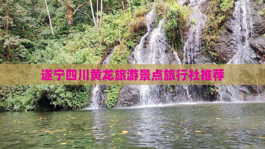 遂宁去四川黄龙旅行社