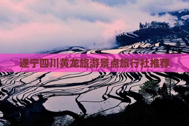 遂宁去四川黄龙旅行社