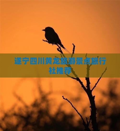 遂宁去四川黄龙旅行社